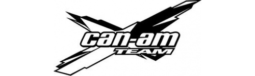 Can -Am (BRP)